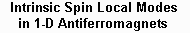 ISLM in 1-D antiferromagnetics